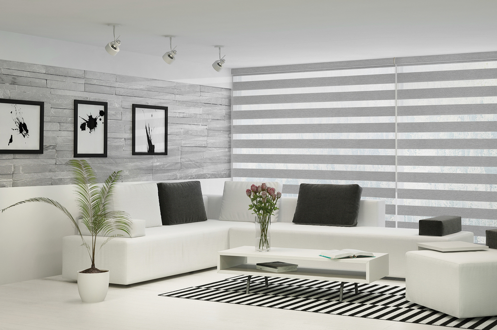 Zebra Blinds